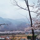 살아생전꼭먹어봐야하는은성식당 이미지
