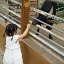 우촌농장 이미지