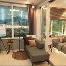 스테이하이 이미지