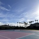 서귀포테니스장 테니스장 | 제주도 서귀포 롯데호텔 테니스장 이국적인 프라이빗한 테니스 후기