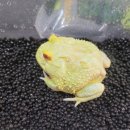 소일농장 이미지