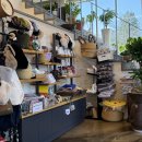 힐링강릉 이미지