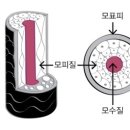 인헤어 이미지