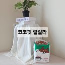 여름기저귀 고민끝! 발진없는 화학성분없는 기저귀 코코핏 랄랄라 솔직 후기