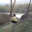 고래등회식당 이미지