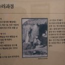 춘천막국수체험박물관 이미지