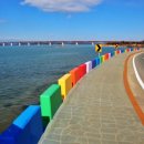 무지갯빛 | 사천 무지갯빛 해안도로, 겨울에도 빛나는 숨은 포토존은 여기!