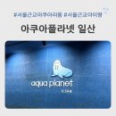 생태랑 놀아볼까 | 서울 근교 아쿠아리움 아이랑 아쿠아플라넷 일산 주차 음식점 관람시간