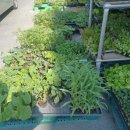 금산흥농 이미지