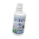 킹스패밀리 이미지