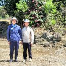 제연농장 이미지