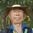 진정산공원 Daum카페