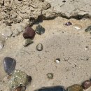 남일대해수욕장 이미지