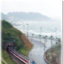 [가요] 김광석 - 바람이 불어오는 곳 이미지