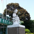 금일초등학교 이미지