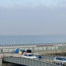 제주도 캠핑장 추천 ‘붉은오름 자연휴양림’ 후기