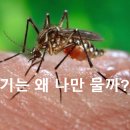 곤충채집 이미지