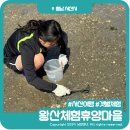노을에반하다 이미지