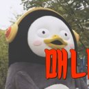 스테이 대치 이미지