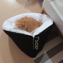 미유컴퍼니