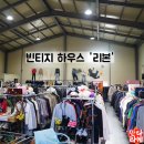 일산 구제거리 빈티지샵 빈티지하우스 리본 좋은 옷 싸게 득템한 후기