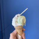 할타보카 이미지