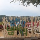 노인종합복지회관 | 신나고 행복한 연천 농촌체험 여행- 도봉노인종합복지회관