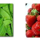 호주 농장 이미지