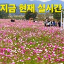 영산강로 이미지