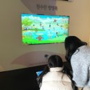 서산버드랜드 전시관(2층) 이미지