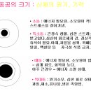 신경선 이미지