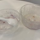 마이요거트립 선유도점 이미지