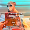 땡큐독 | 강아지 유산균 휴앤독 유산균 스틱 강아지랑 같이 먹는 유산균, 솔직 후기