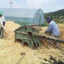 보리타작 이미지