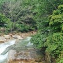 산중다연 네이버블로그