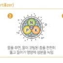 이지벅스