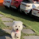 이매로89번길 네이버블로그