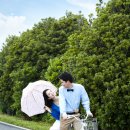 시선끌다 이미지