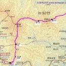 연엽산 이미지