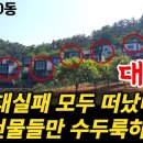 돈 수십억 투자한 펜션 단지, 완전히 망했다 유령건물 빈집만 수두룩하다. 이미지