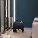 스마테리어 이미지