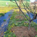 보섭농장 이미지