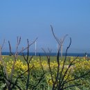 신광축산2 이미지