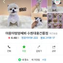 야옹아멍멍해봐 수원대융건릉점 이미지