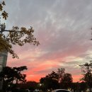 GS25 경산영대점 | 블챌용글