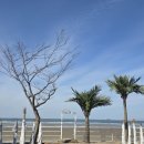 57 | 태안 바베큐 바다뷰 펜션 추천 맛있는 캠핑 고기 세트 신두 57 빌리지 이용 후기