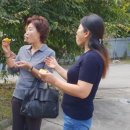 시튼하우스 이미지