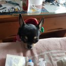 애니존동물병원 이미지