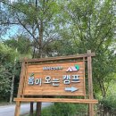 서울 근교 봄이오는캠프 후기