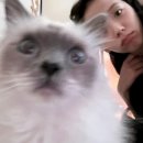 호텔1(호텔원) 이미지